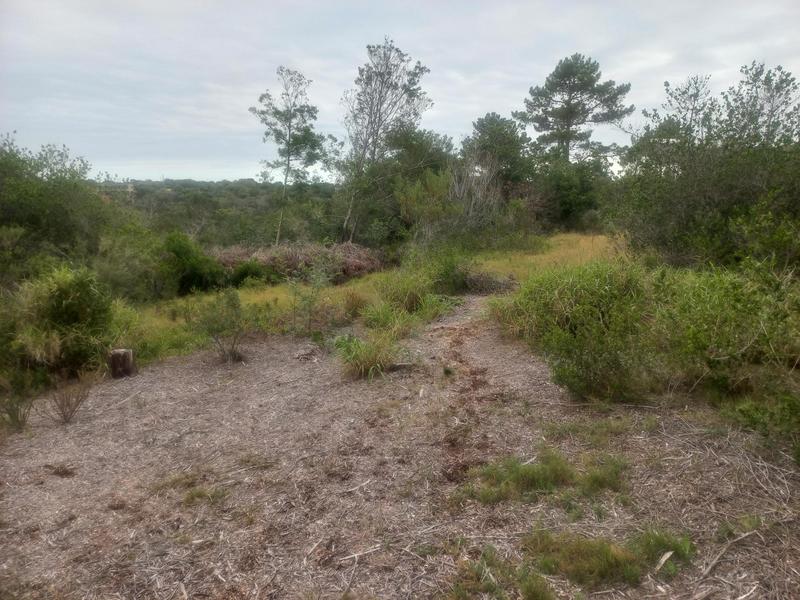 0 Bedroom Property for Sale in Wilderness Western Cape